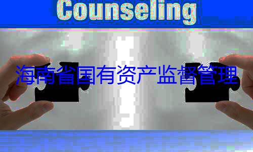 委副书记王海南省国有资产监督管有福接受审查调查理委员会党